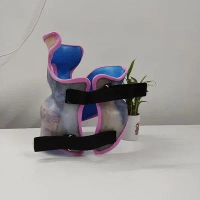 61